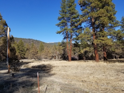 Northern, CA/Rural Acreage/Domestic Well/Seller Financing - image 13