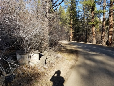 Northern, CA/Rural Acreage/Domestic Well/Seller Financing - image 17