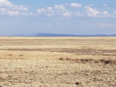 Estancia Valley New Mexico Ranch Property For Sale - image 3
