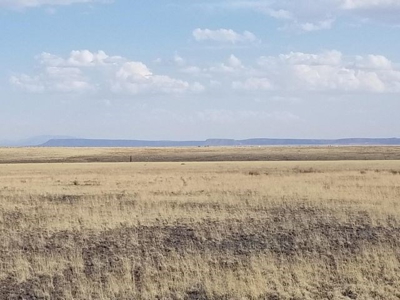 Estancia Valley New Mexico Ranch Property For Sale - image 8