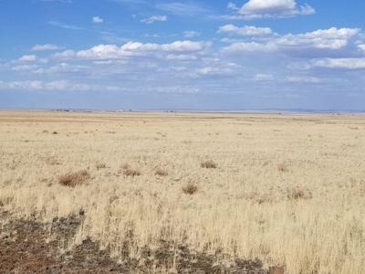 Estancia Valley New Mexico Ranch Property For Sale - image 7