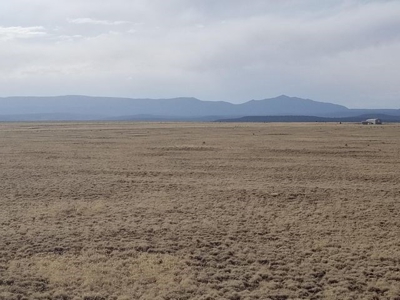 Estancia Valley New Mexico Ranch Property For Sale - image 11