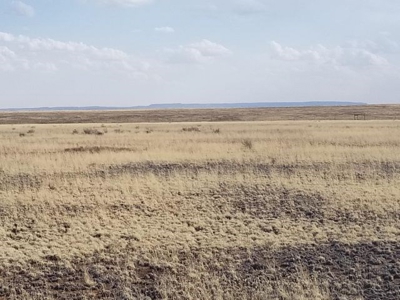 Estancia Valley New Mexico Ranch Property For Sale - image 5