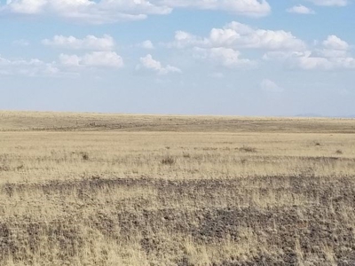 Estancia Valley New Mexico Ranch Property For Sale - image 6
