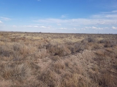 Manzano Mountain Views McIntosh Estancia Valley For Sale - image 3