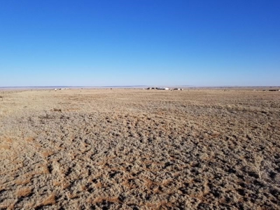 Rare 52 Acreage With Mountain Views, Fenced Ranch Edgewood - image 3