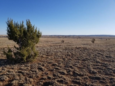 Rare 52 Acreage With Mountain Views, Fenced Ranch Edgewood - image 5