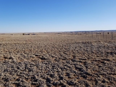 Rare 52 Acreage With Mountain Views, Fenced Ranch Edgewood - image 4