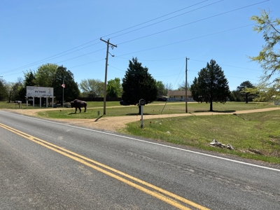 Blue River RV Park & Event Center Milburn OKlahoma - image 27