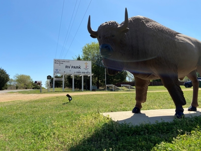 Blue River RV Park & Event Center Milburn OKlahoma - image 24