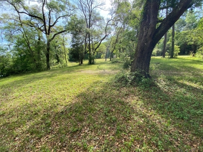 Breathtaking Riverfront Suwannee River Lot In Mayo, Fl!!! - image 1