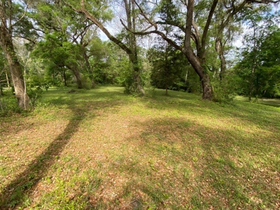 Breathtaking Riverfront Suwannee River Lot In Mayo, Fl!!! - image 3