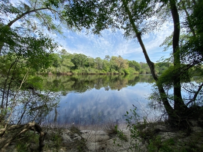 Breathtaking Riverfront Suwannee River Lot In Mayo, Fl!!! - image 2