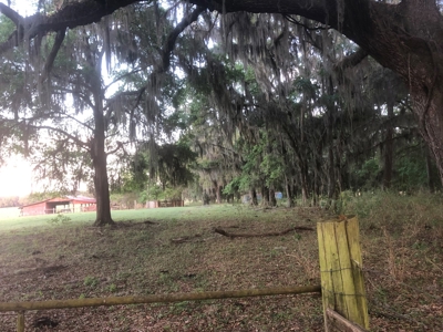 Small North Florida Ranch/Farm - image 2