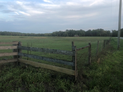 Small North Florida Ranch/Farm - image 1