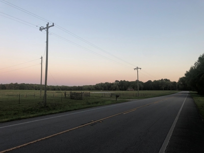 Small North Florida Ranch/Farm - image 3