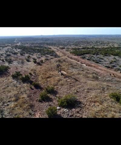 West Texas Ranch For Sale in King & Stonewall County - image 21