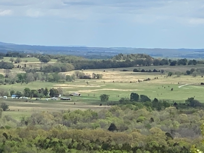 Land for Sale- Southeast Oklahoma- Near Lake Eufaula - image 3