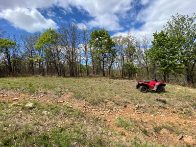 Land for Sale- Southeast Oklahoma- Near Lake Eufaula - image 2
