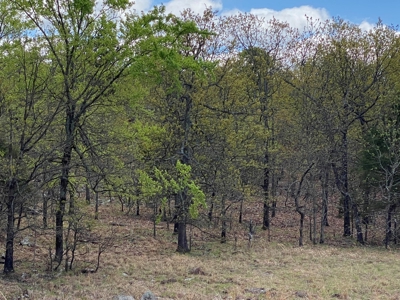 Land for Sale- Southeast Oklahoma- Near Lake Eufaula - image 7