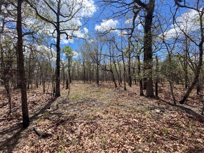 Land for Sale- Southeast Oklahoma- Near Lake Eufaula - image 6