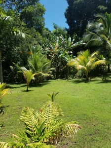 Coastal Caribbean Off Grid Home in Bocas del Toro, Panama - image 18