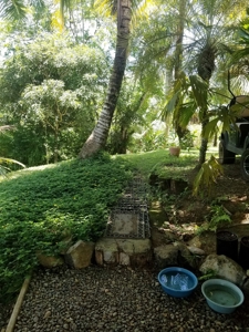 Coastal Caribbean Off Grid Home in Bocas del Toro, Panama - image 17