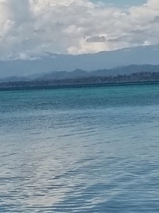 Coastal Caribbean Off Grid Home in Bocas del Toro, Panama - image 21
