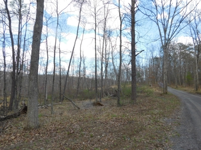 Acres in Green Ridge State Forest - image 1