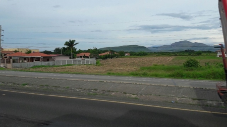 Lot For Sale In Penonome Cocle Panama - image 6