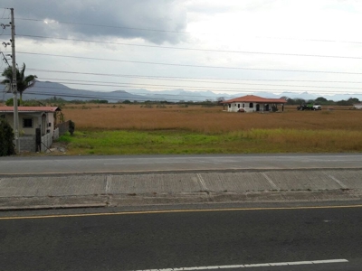 Lot For Sale In Penonome Cocle Panama - image 8