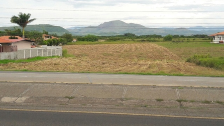 Lot For Sale In Penonome Cocle Panama - image 3