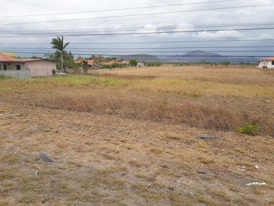 Lot For Sale In Penonome Cocle Panama - image 2