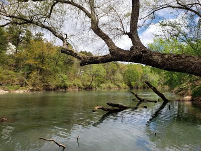 12 Acre Blackfork River Frontage Recreational Property - image 9