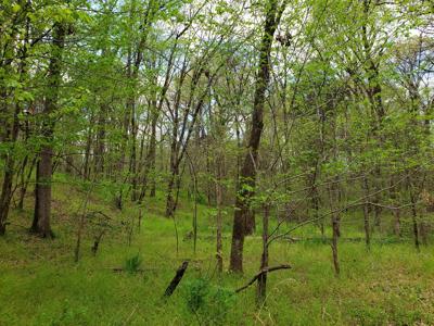 12 Acre Blackfork River Frontage Recreational Property - image 8