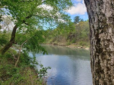 12 Acre Blackfork River Frontage Recreational Property - image 11