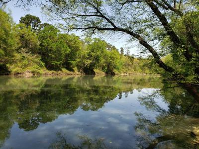 12 Acre Blackfork River Frontage Recreational Property - image 2