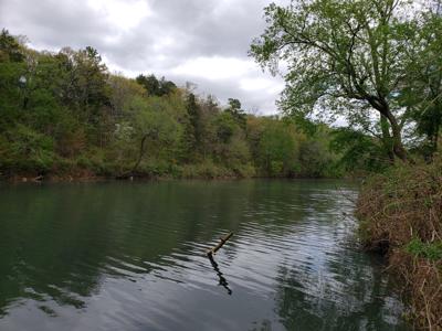 12 Acre Blackfork River Frontage Recreational Property - image 10