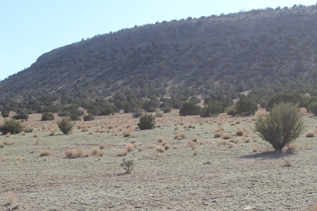 Residential Land for Sale No HOA On Grid Power - image 3