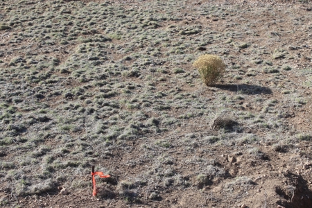 Residential Land for Sale No HOA On Grid Power - image 4
