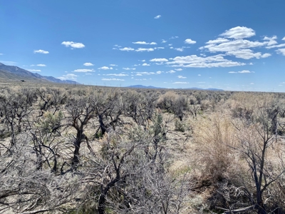 Residential Lot minutes away from State Recreation Area - image 6