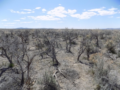Residential Lot minutes away from State Recreation Area - image 2