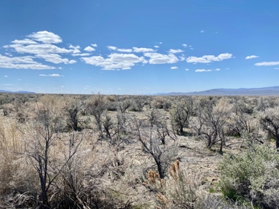 Residential Lot minutes away from State Recreation Area - image 7