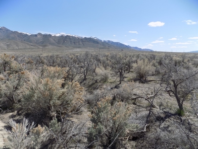 Residential Lot minutes away from State Recreation Area - image 1