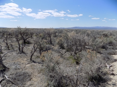 Residential Lot minutes away from State Recreation Area - image 3