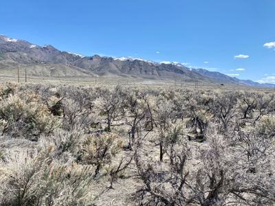 Residential Lot minutes away from State Recreation Area - image 5