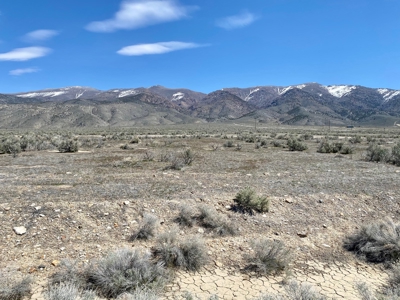 Residental Lot Near Fire Department in Humboldt River Ranch - image 4