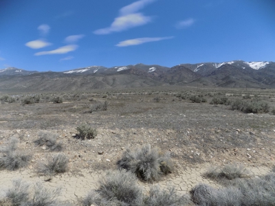 Residental Lot Near Fire Department in Humboldt River Ranch - image 1