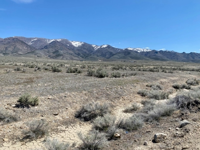 Residental Lot Near Fire Department in Humboldt River Ranch - image 5