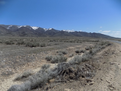 Residental Lot Near Fire Department in Humboldt River Ranch - image 2